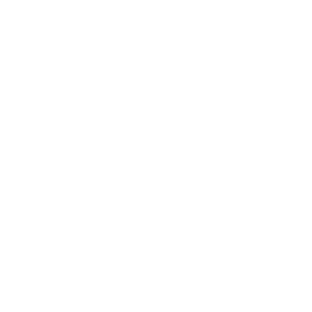 Brazilian BBQ Boys Logo